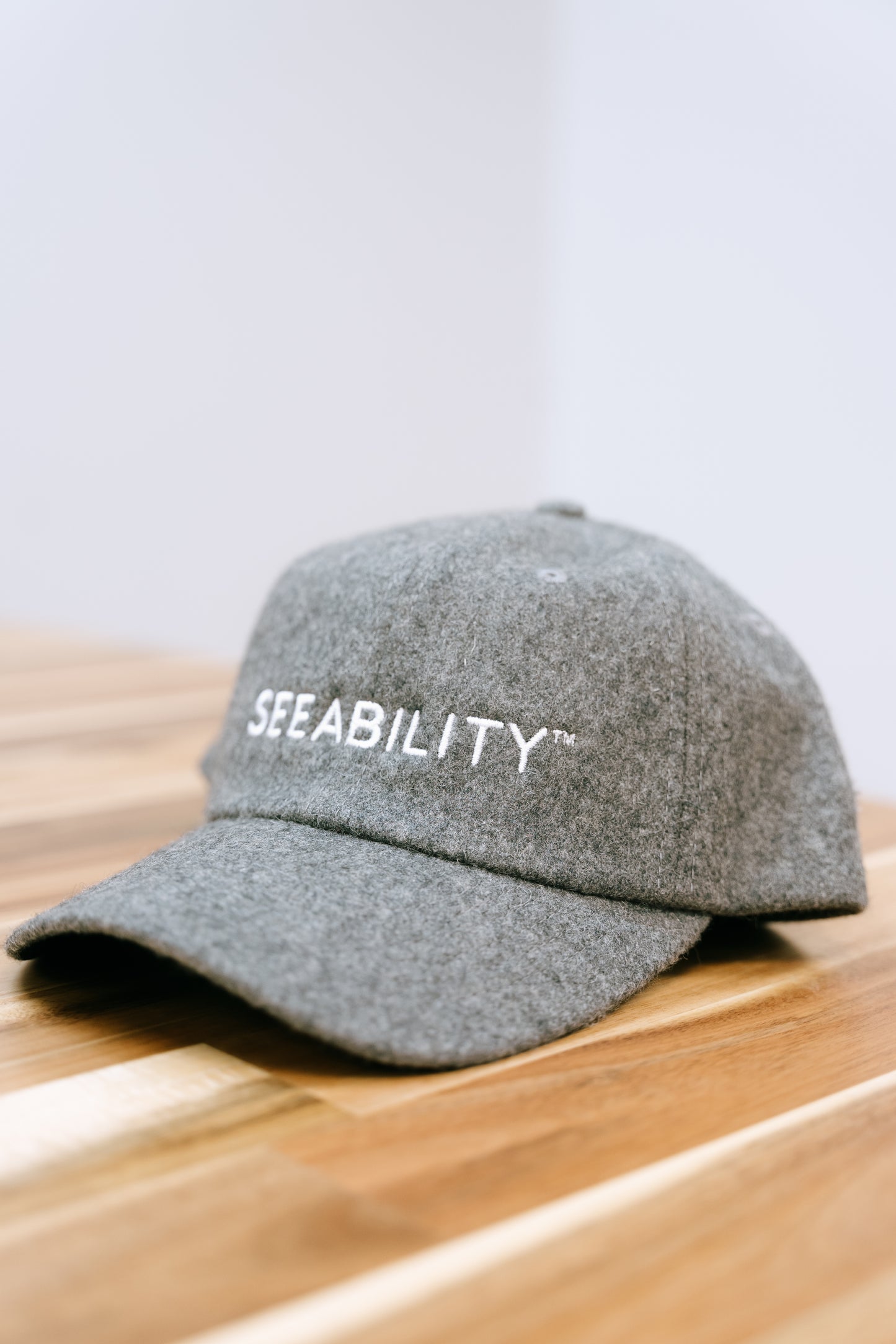 SEEABILITY Wool Blend Baseball Cap