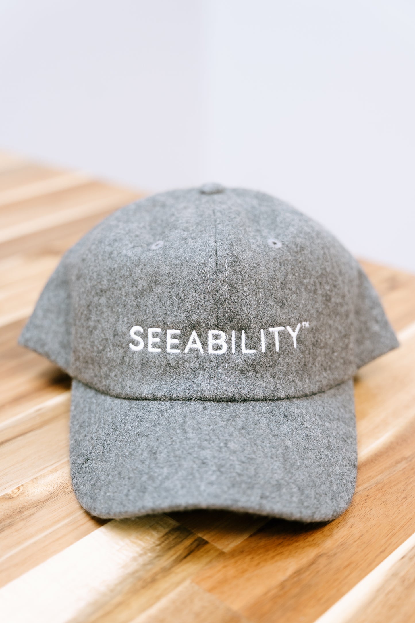 SEEABILITY Wool Blend Baseball Cap