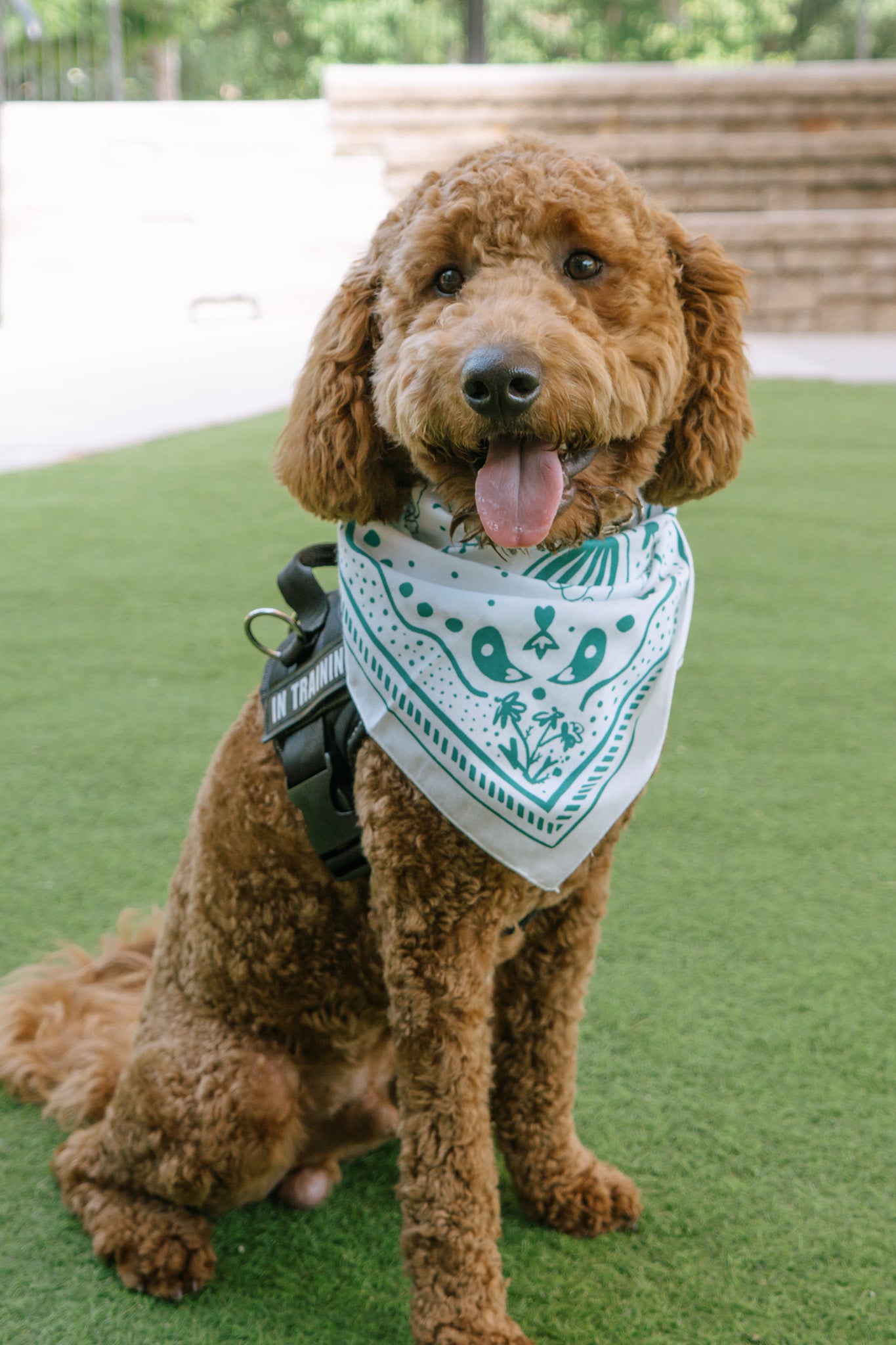 White SEEABILITY Bandana
